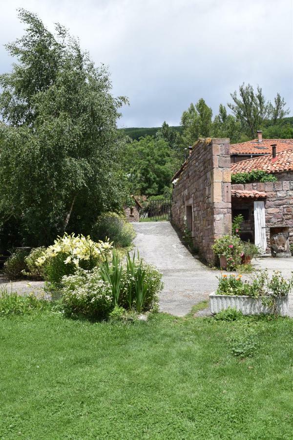 Casa Miguel Lägenhet Olea Exteriör bild